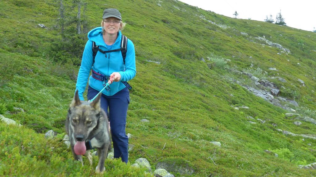 Wildact Adventure Ab Hostal Storberg Exterior foto
